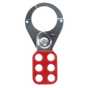 Pack of 12 25mm hasps