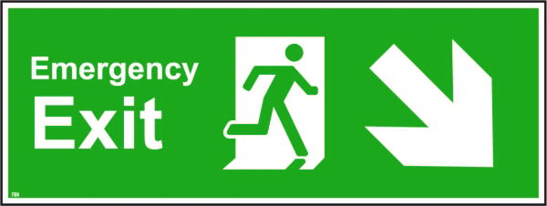 600mm x 200mm Emergency exit down right
